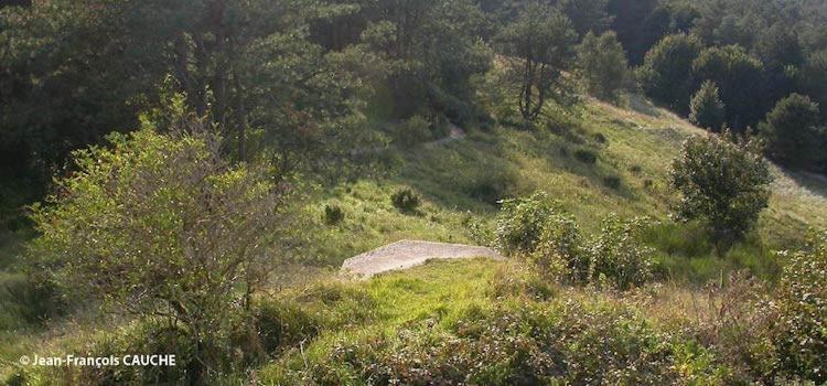Camping Le Cote D'Opale Cucq Luaran gambar